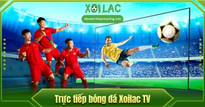 Xoilac-TV.one bật mí chiến lược phát triển Xoilac 2024